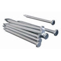 Construction Hardened Galvanized Stainless Steel Concrete Nail